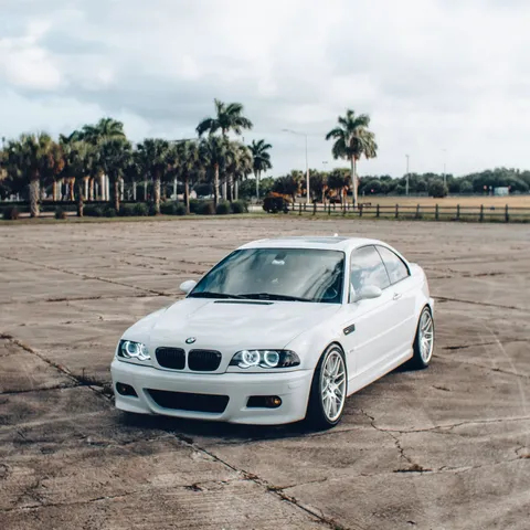 White BMW E46 M3 coupé parked among palm trees
